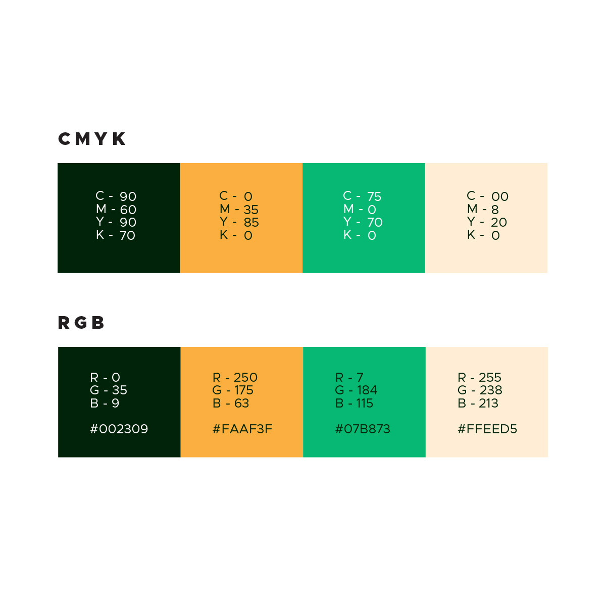 Danielle Gracioso Graphic Designer Vancouver BC Canada – Color Pallete Projeto Motor