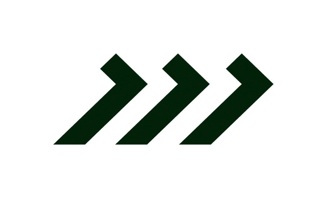 Danielle Gracioso Graphic Designer Vancouver BC Canada – Projeto Motor logo