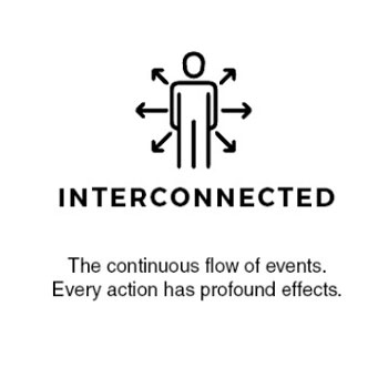 Danielle Gracioso Graphic Designer Vancouver BC Canada – Memorial UIRD Interconnected